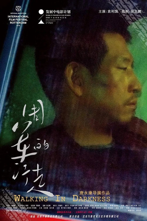 Movie poster for A Walker in Darkness (2019)
