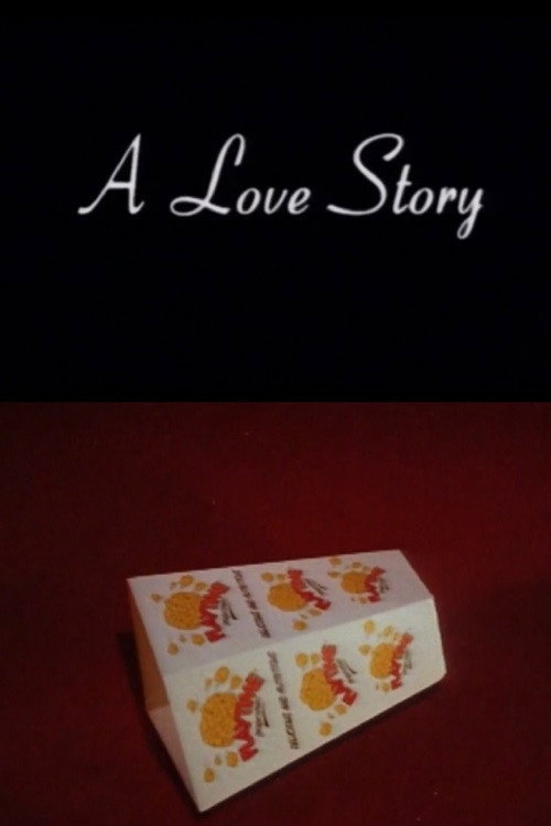 Movie poster for A Love Story (1996)