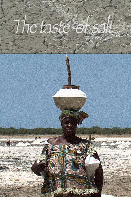 Movie poster for The Taste of Salt (2011)