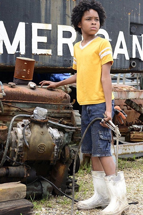 Movie poster for Plaquemines (2016)