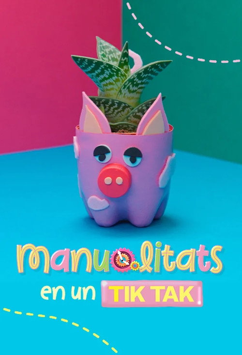 Series poster for Manualitats en un tik tak (2025)