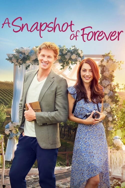 Movie poster for A Snapshot of Forever (2022)