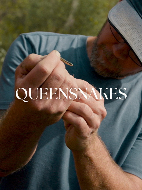 Movie poster for Queensnakes (2024)