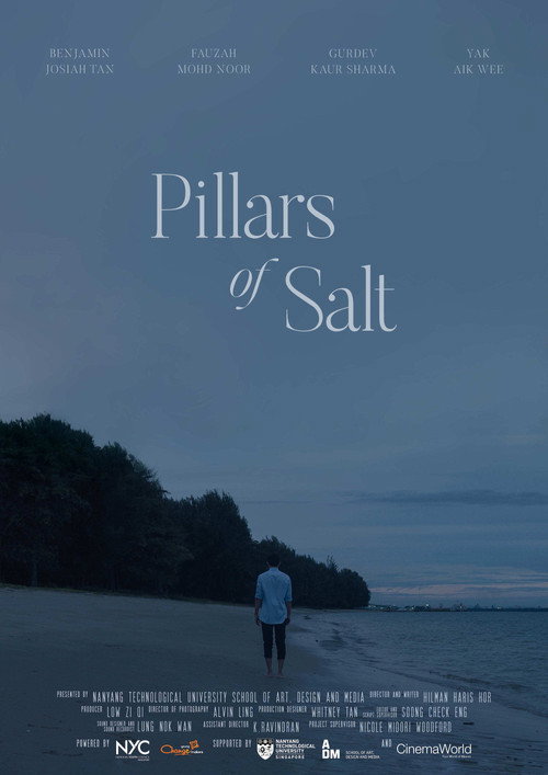 Movie poster for Pillars of Salt (2021)