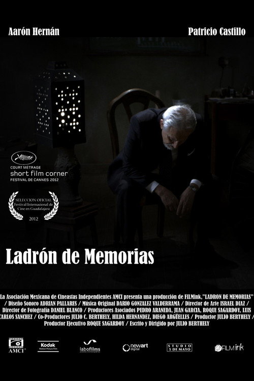 Movie poster for Ladrón de memorias (2012)