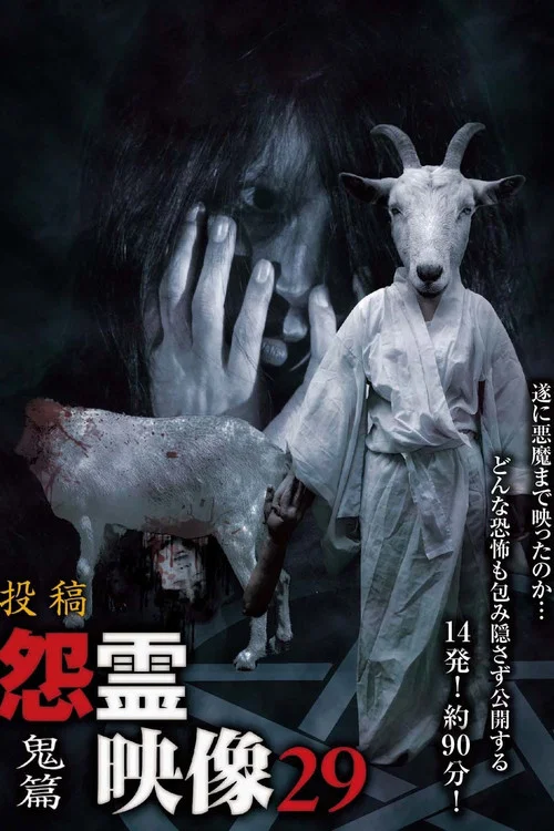 Movie poster for Posted Grudge Spirit Footage Vol.29: Demon Edition (2016)
