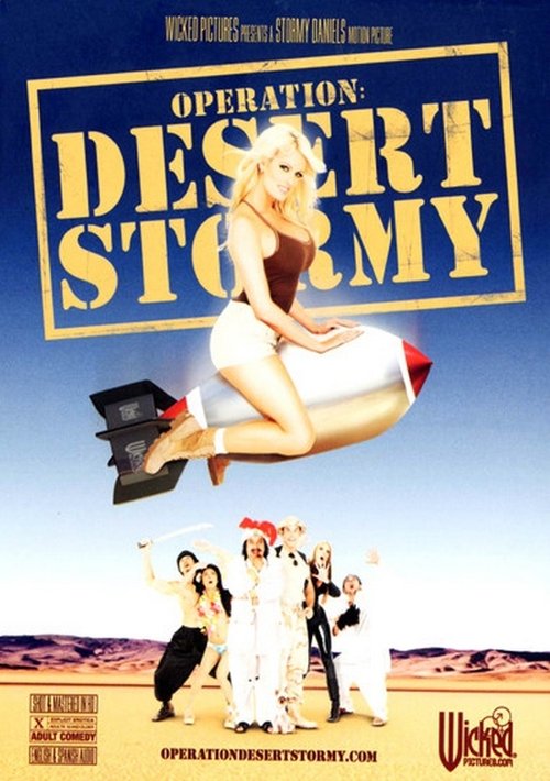 Movie poster for Operation: Desert Stormy (2007)