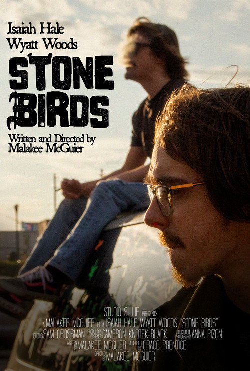 Movie poster for Stone Birds (2025)
