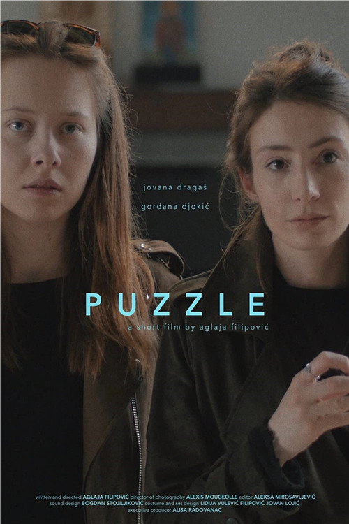 Movie poster for Puzzle (2017)