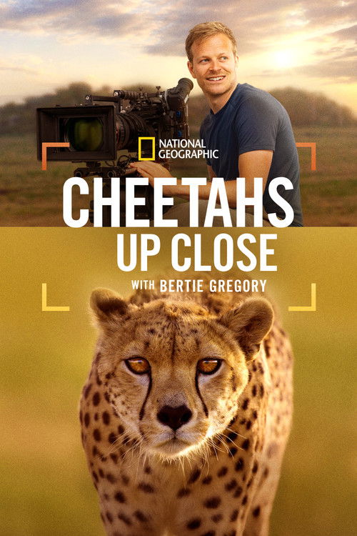 Movie poster for Cheetahs Up Close with Bertie Gregory (2026)