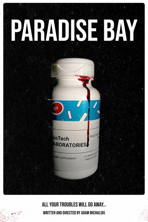Movie poster for Paradise Bay (2023)