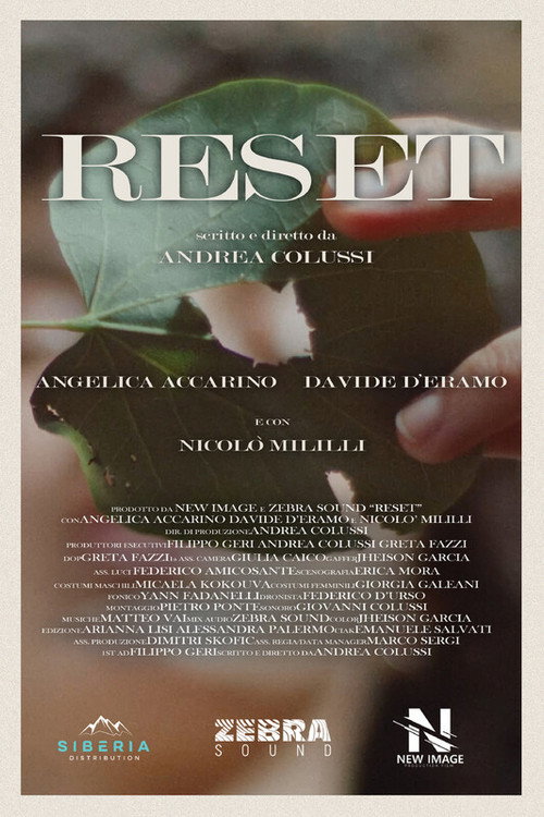 Movie poster for Reset (2025)