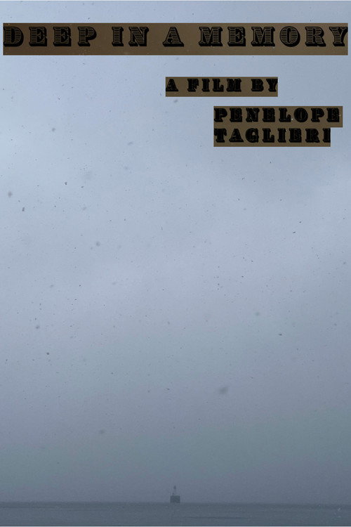 Movie poster for Deep In A Memory (2024)