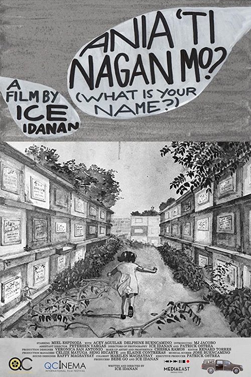 Movie poster for What is Your Name? (2017)