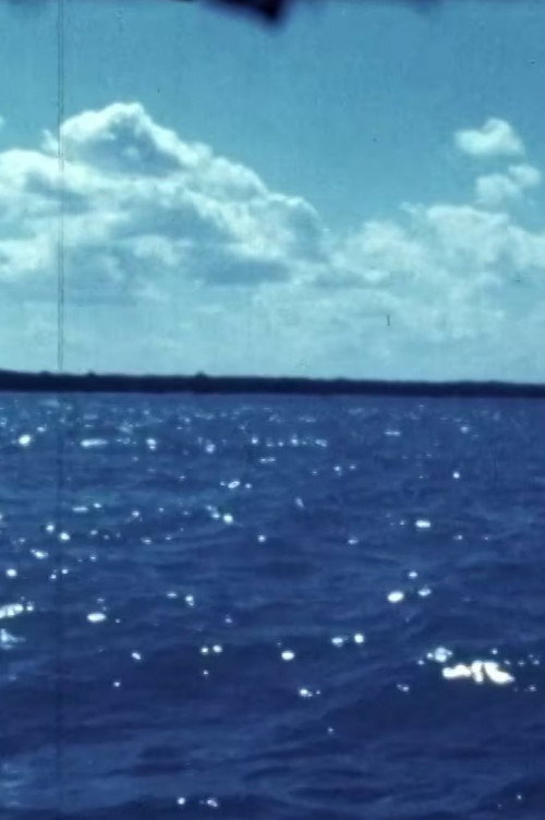Movie poster for Woman Water Huron Goodbye (1981)