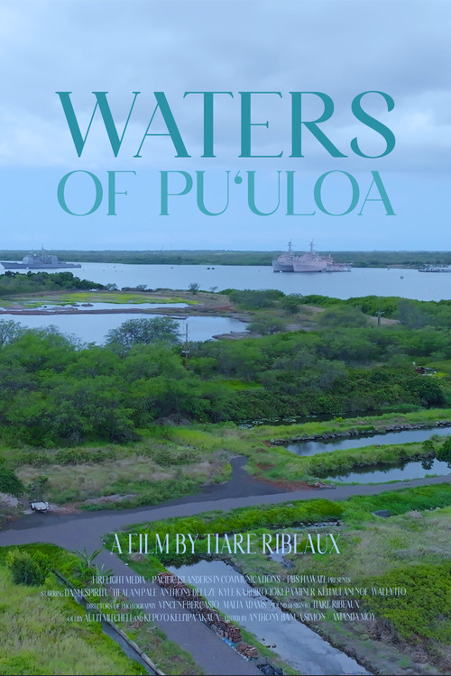 Movie poster for Waters of Pu'uloa (2025)