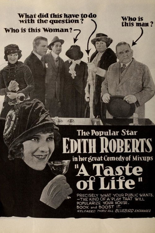 Movie poster for A Taste of Life (1919)