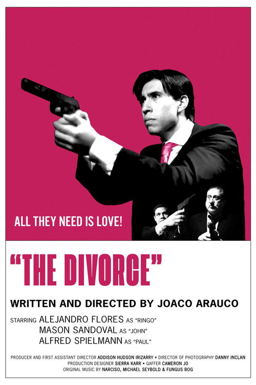 Movie poster for The Divorce