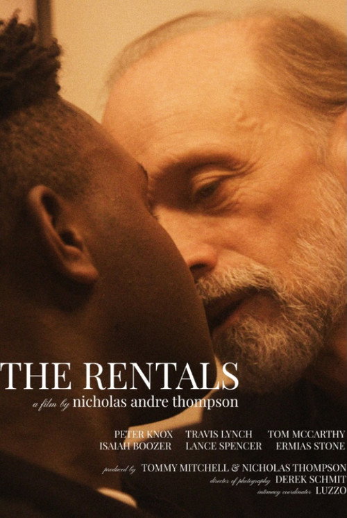 Movie poster for The Rentals (2025)
