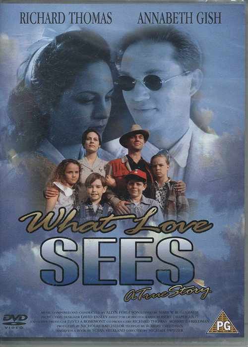 Movie poster for What Love Sees (1996)