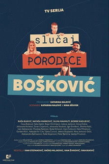 The Case of the Boskovic Family poster