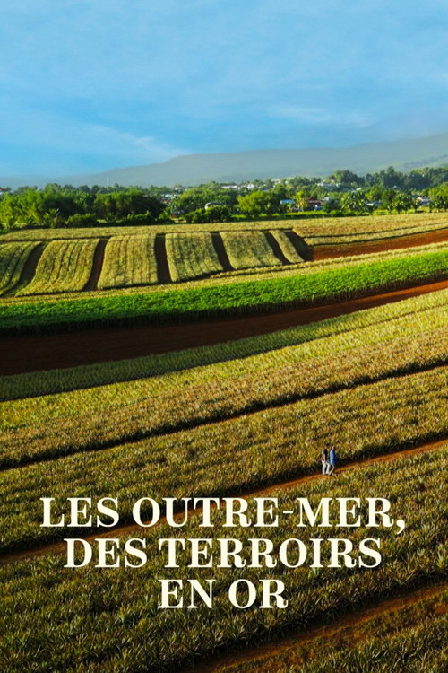 Movie poster for Les Outre-mer, des terroirs en or (2024)