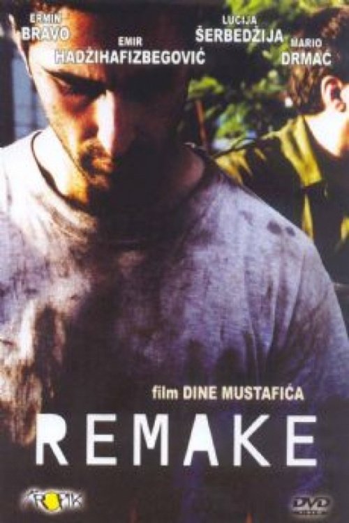 Movie poster for Remake (2003)