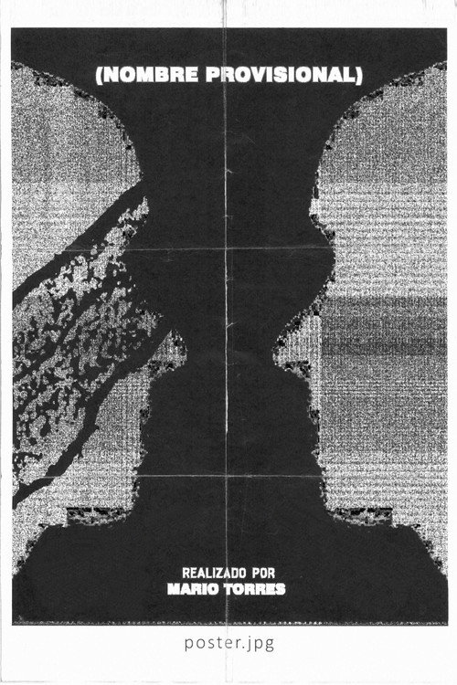 Movie poster for Provisional Name (2024)