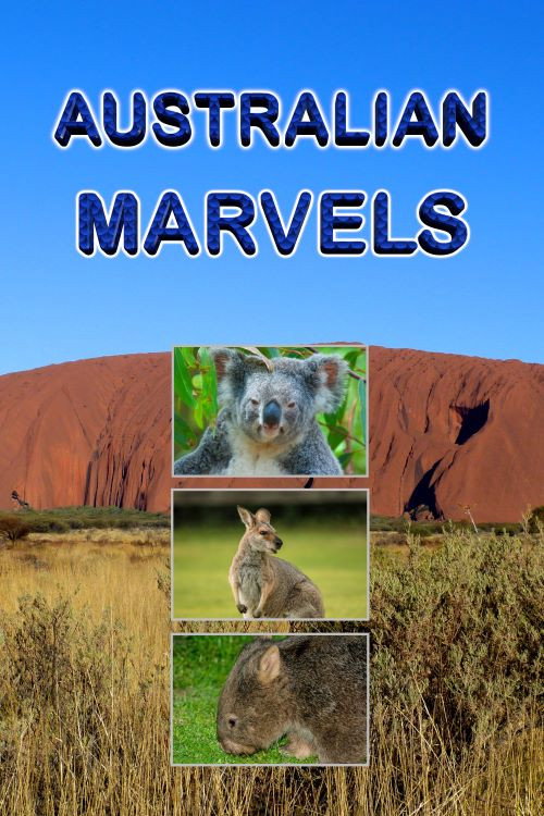 Movie poster for Australian Marvels (2016)