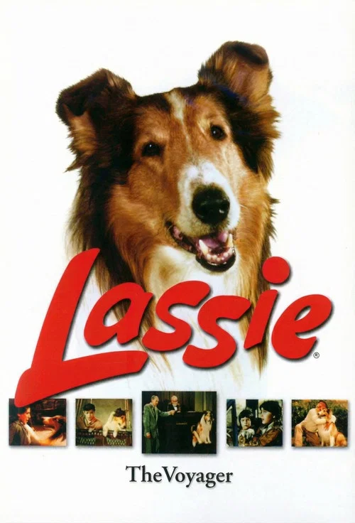 Movie poster for Lassie, the Voyager (1966)