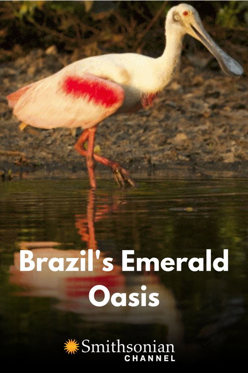 Movie poster for Brazil's Emerald Oasis (2020)