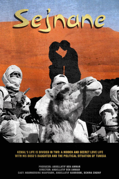 Movie poster for Sejnane (1974)
