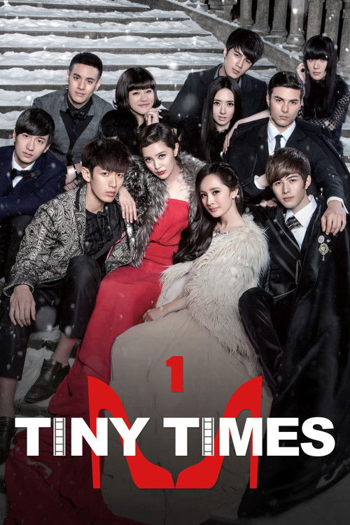 Movie poster for Tiny Times (2013)
