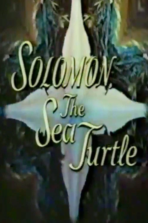 Movie poster for Solomon, the Sea Turtle (1969)