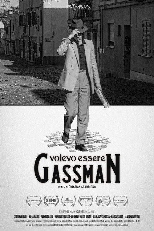 Movie poster for I wanted to be Vittorio Gassman