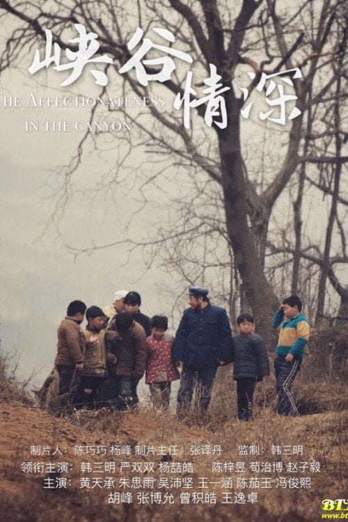 Movie poster for The Affechonateness in the Canyon (2020)
