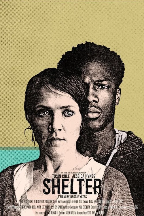 Movie poster for Shelter (2017)