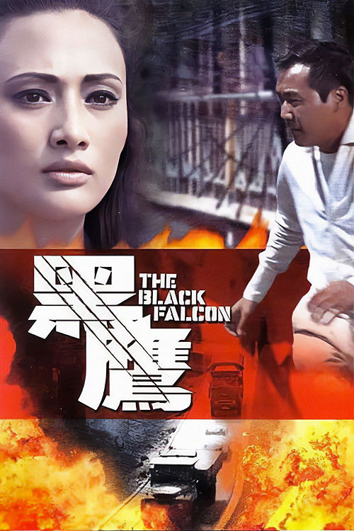 Movie poster for Black Falcon (1967)