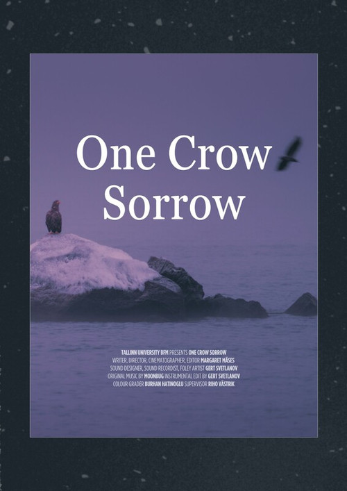 Movie poster for One Crow Sorrow (2024)