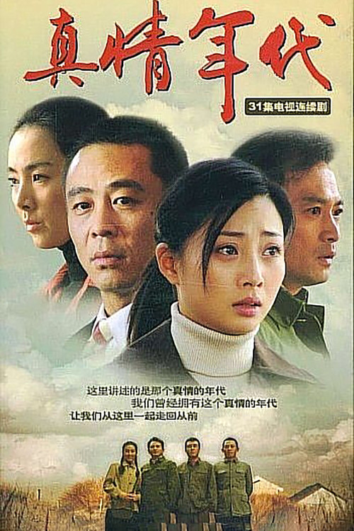 真情年代 poster