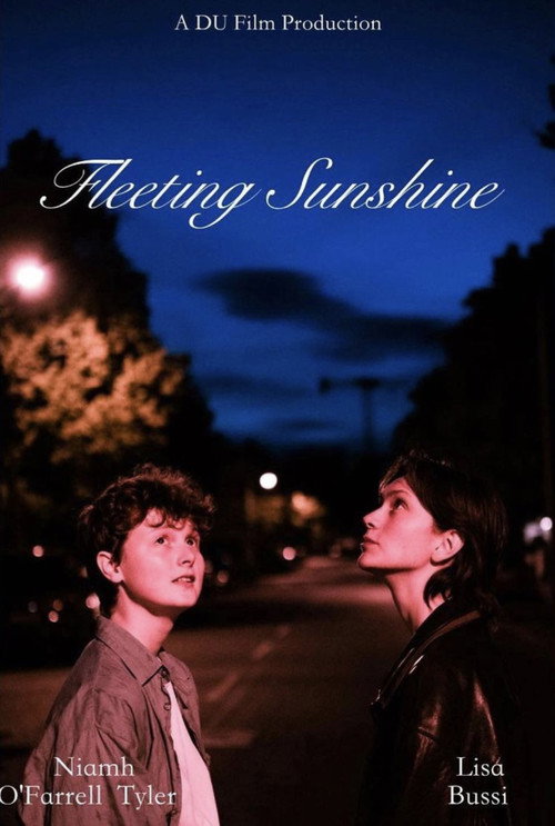 Movie poster for Fleeting Sunshine (2022)