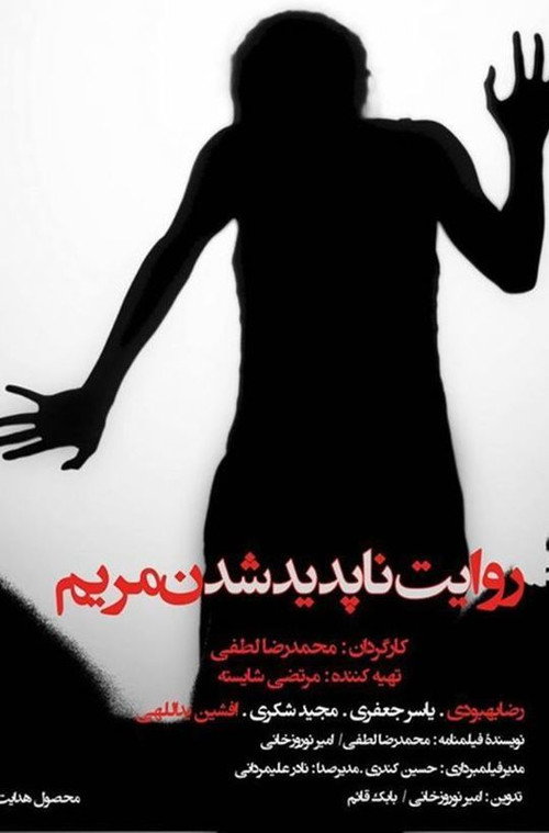 Movie poster for The Story of Mary's Disappearance (2014)