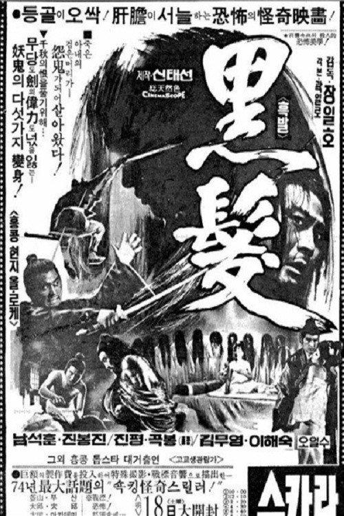 Movie poster for The Black Hair (1974)