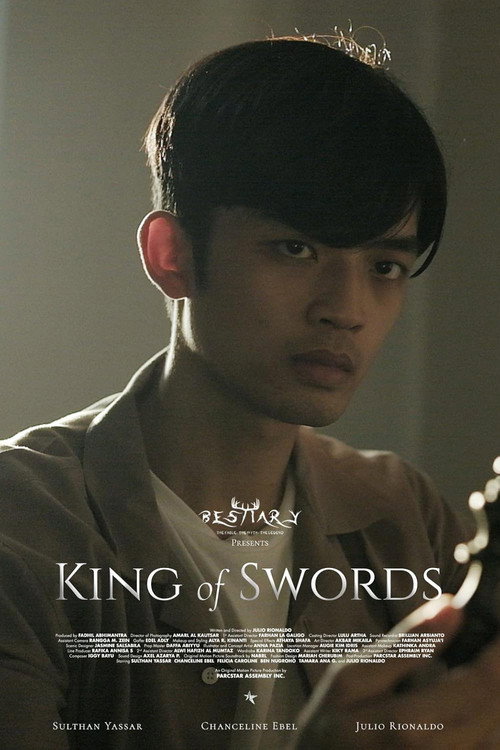 Movie poster for King of Swords (2024)