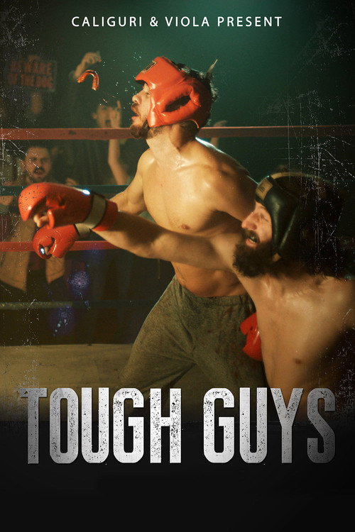 Movie poster for Tough Guys (2017)