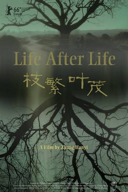 Movie poster for Life After Life (2017)