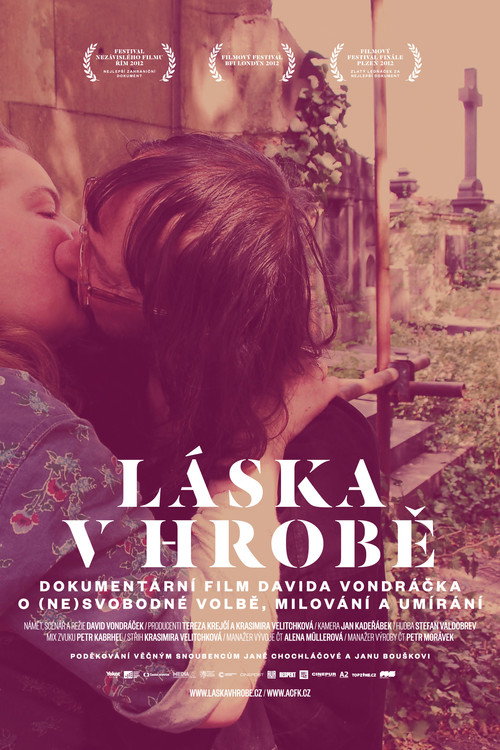 Movie poster for Love in the Grave (2012)