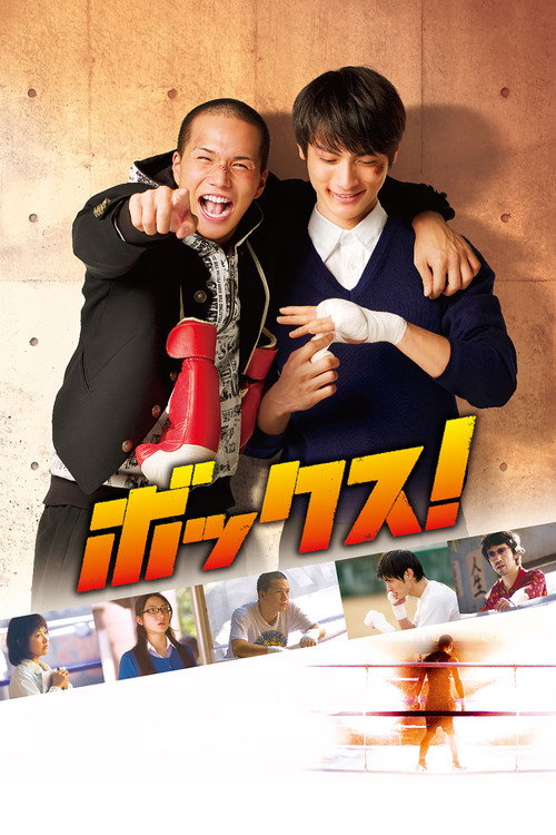 Movie poster for Box! (2010)