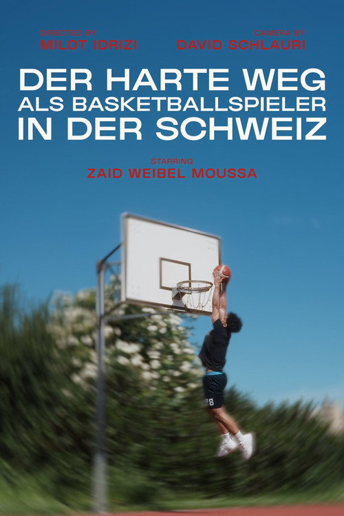 Movie poster for Der harte Weg als Basketballspieler in der Schweiz (2024)