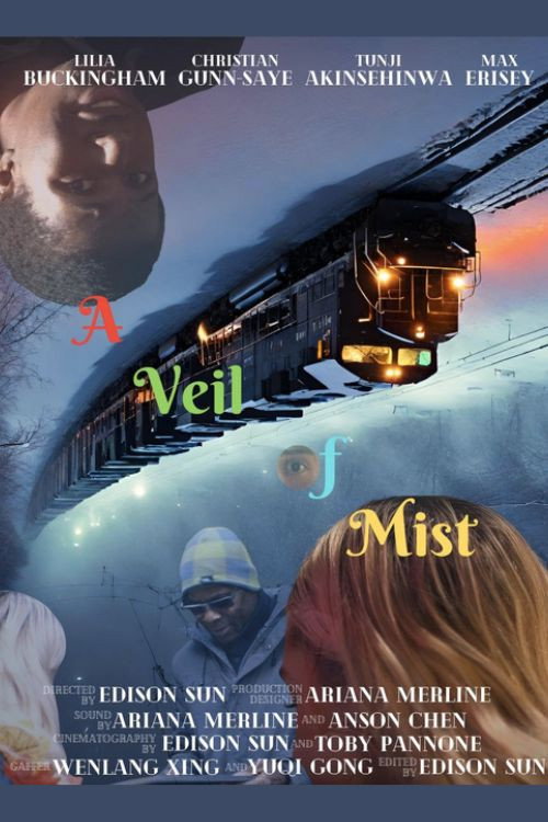 Movie poster for A Veil of Mist (2023)